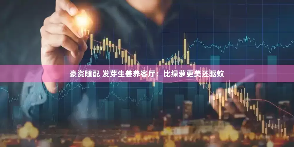豪资随配 发芽生姜养客厅：比绿萝更美还驱蚊