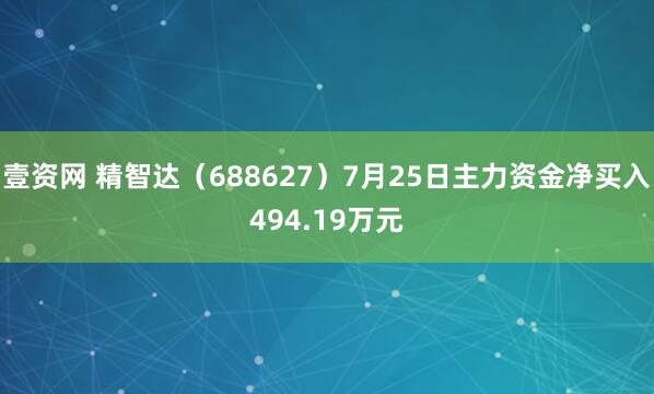 壹资网 精智达（688627）7月25日主力资金净买入494.19万元