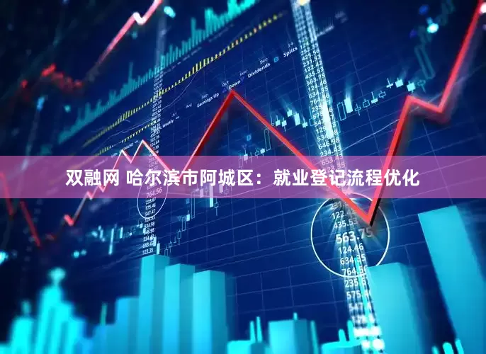 双融网 哈尔滨市阿城区：就业登记流程优化