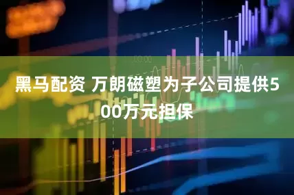 黑马配资 万朗磁塑为子公司提供500万元担保