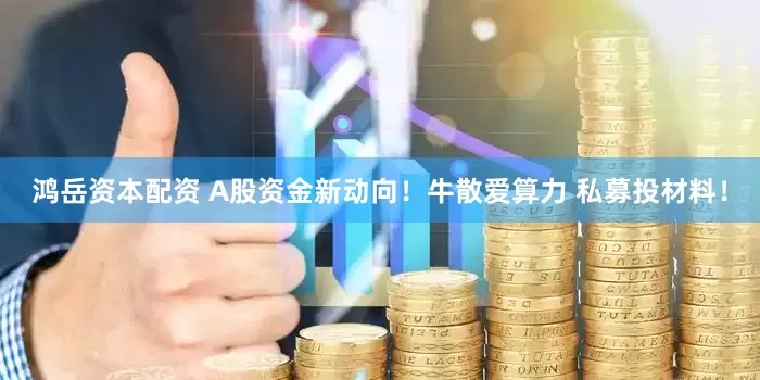 鸿岳资本配资 A股资金新动向！牛散爱算力 私募投材料！